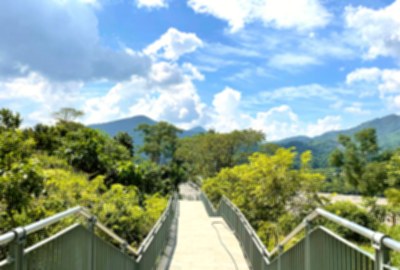 甲仙大橋